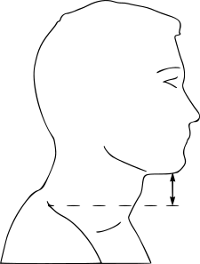 Measurement height trapezius/chin